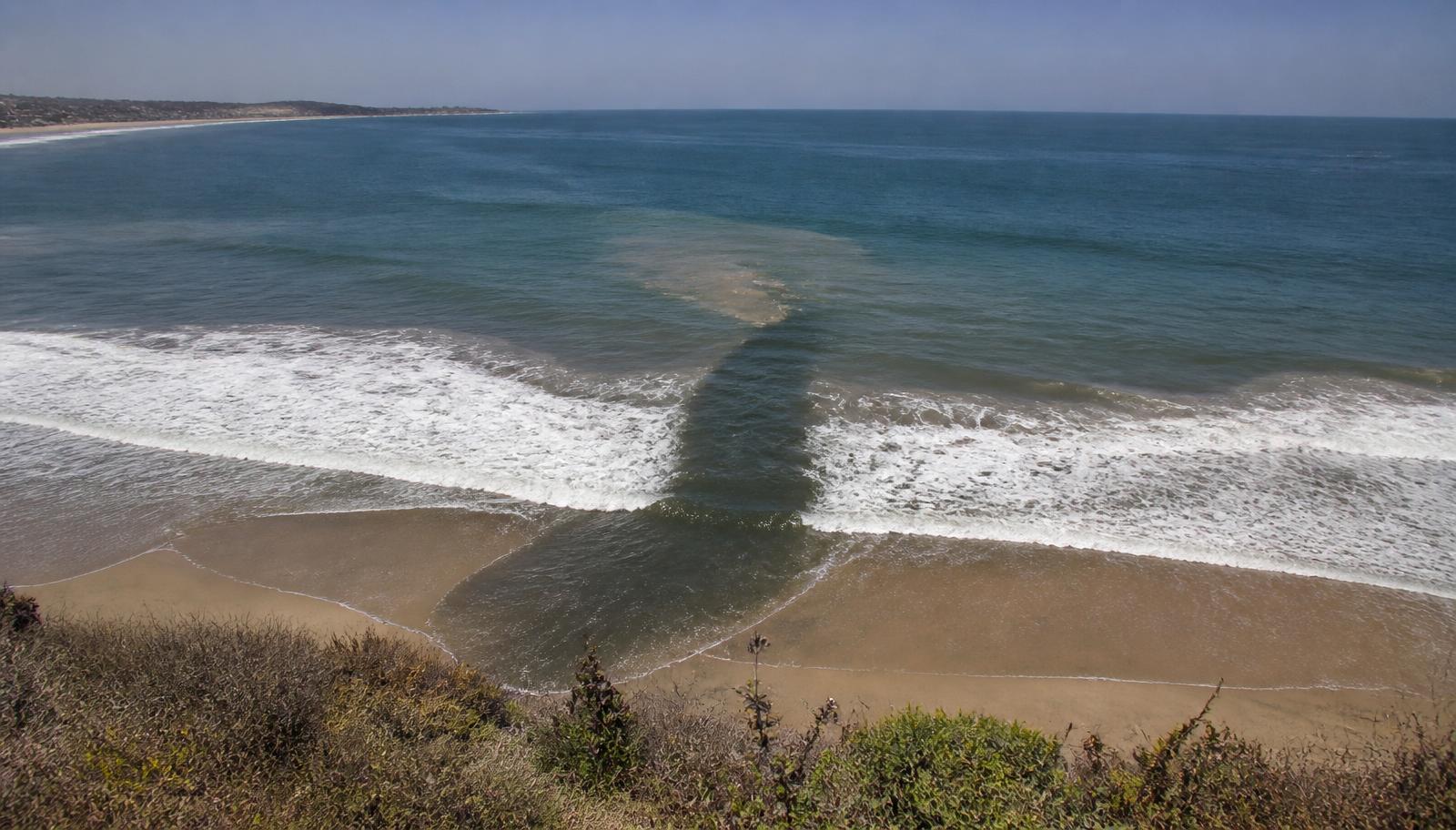 Reading the Ocean: How to Spot a Rip Current Before You Get in the Water — feature photo for Coastal Safety article