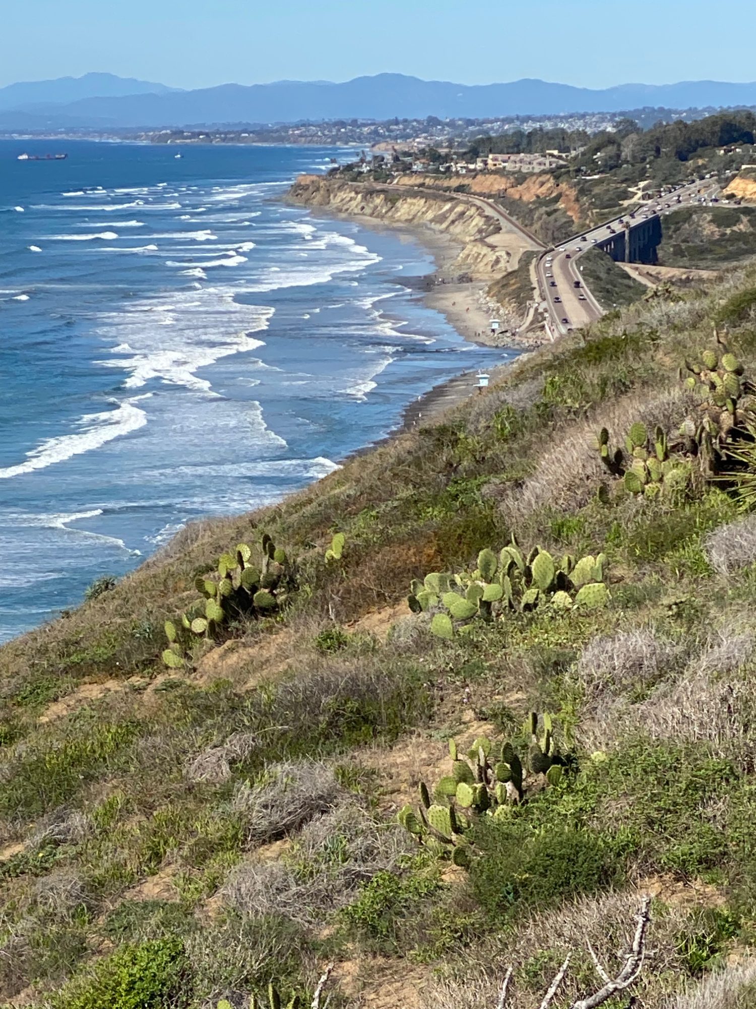 Torrey Pines Hike: Every Trail, Ranked by What You'll See — feature photo for Hidden Spots article
